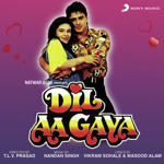 Dil Aa Gaya (1994) Mp3 Songs
